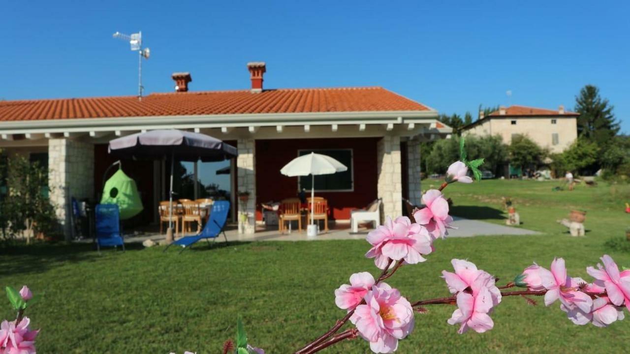 Ferienwohnung Rosa Dei Venti Sul Garda Bardolino Exterior foto